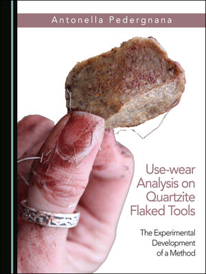 cover image of Use-wear Analysis on Quartzite Flaked Tools